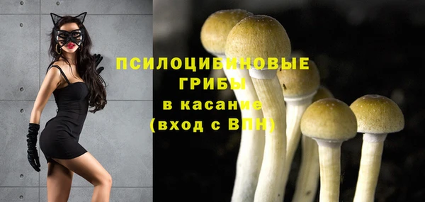 эйфоретик Богданович