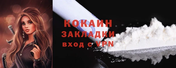эйфоретик Богданович