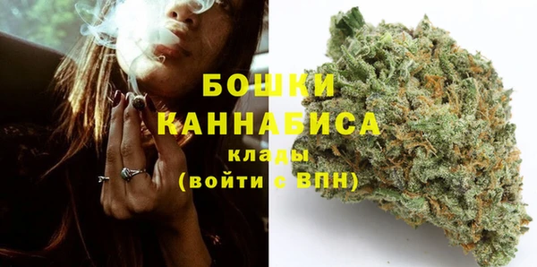 эйфоретик Богданович