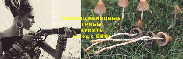 эйфоретик Богданович
