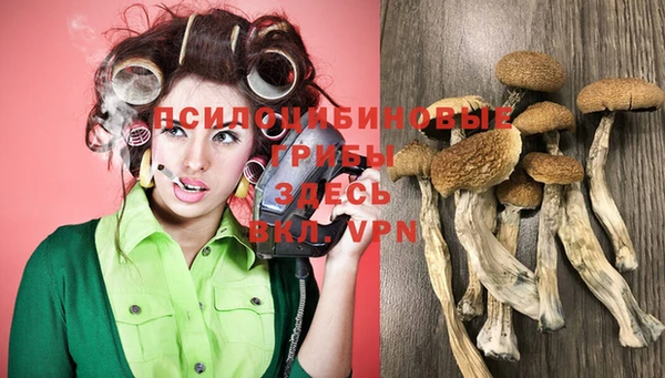 прущая мука Богородск