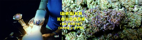 трава Белокуриха