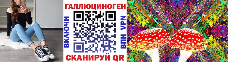 Псилоцибиновые грибы GOLDEN TEACHER  Купить  Мценск 